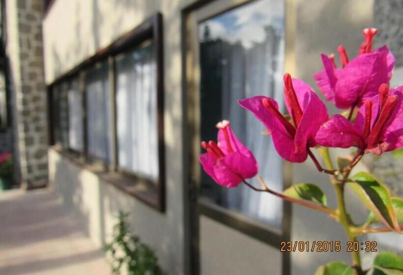 פנסיון Hostal Boutique 180 Grados