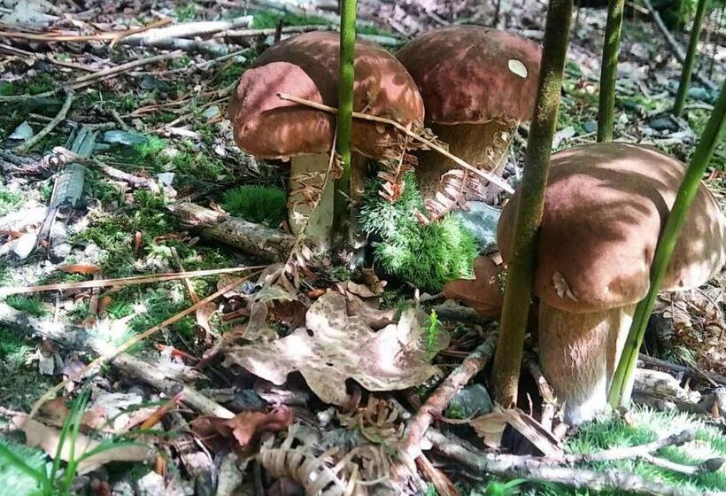 펜션 Hostal Ekaitza