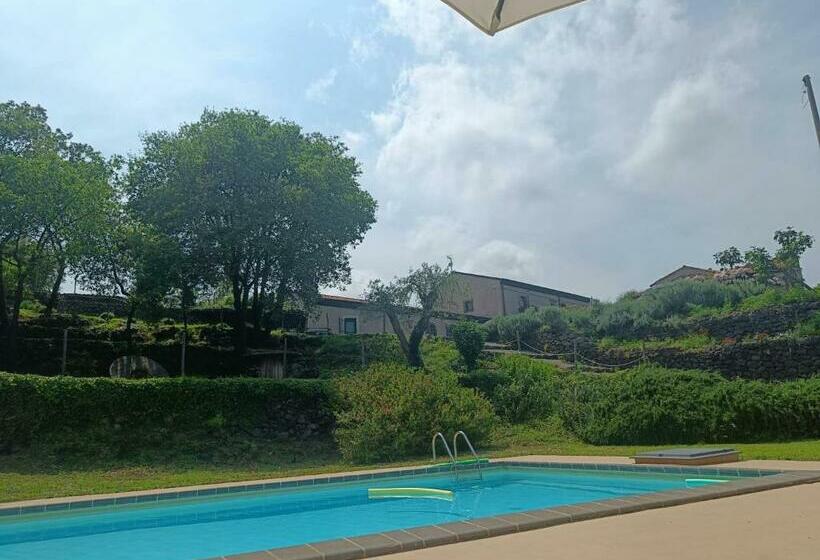 بنسيون Il Tanaceto