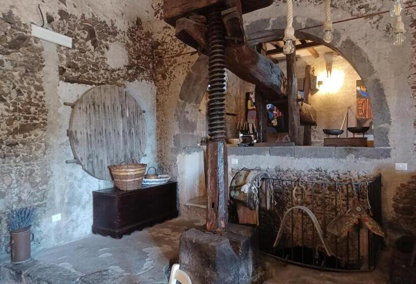 بنسيون Il Tanaceto