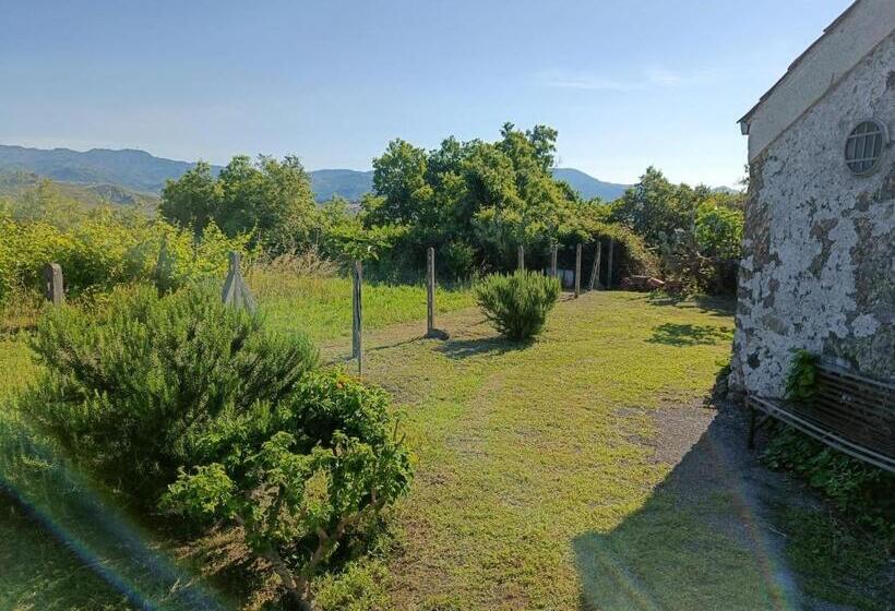 بنسيون Il Tanaceto