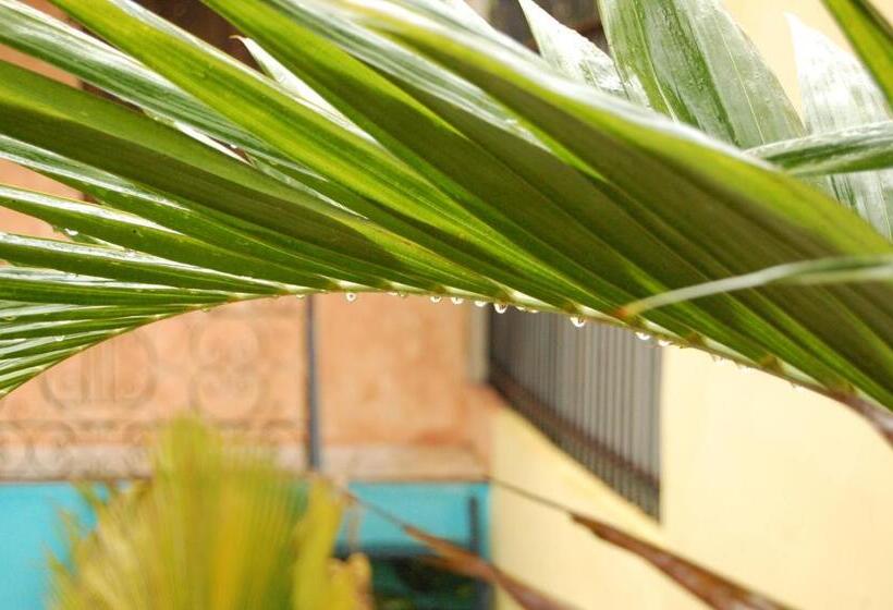 بنسيون La Choza Guesthouse