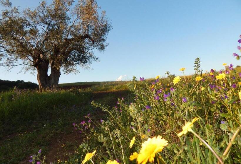 펜션 Quinta Das Ratoeiras