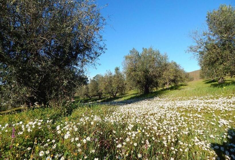 펜션 Quinta Das Ratoeiras