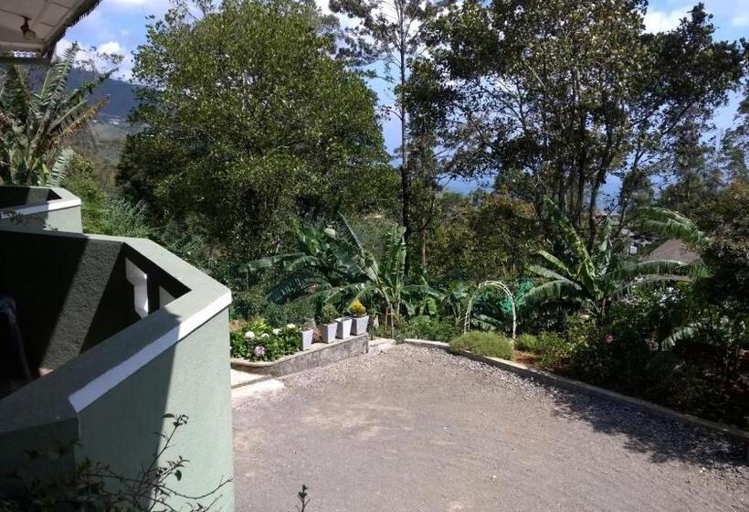 Pansiyon The Nest By Amarasinghe S