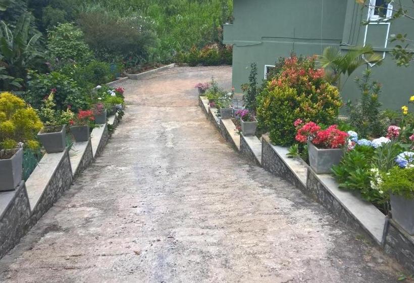 Pansiyon The Nest By Amarasinghe S