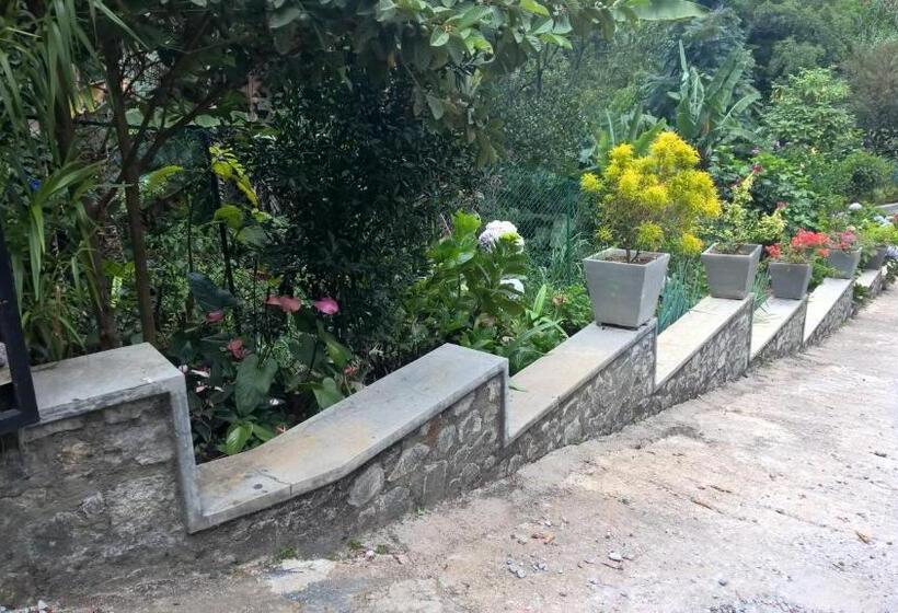 Pansiyon The Nest By Amarasinghe S