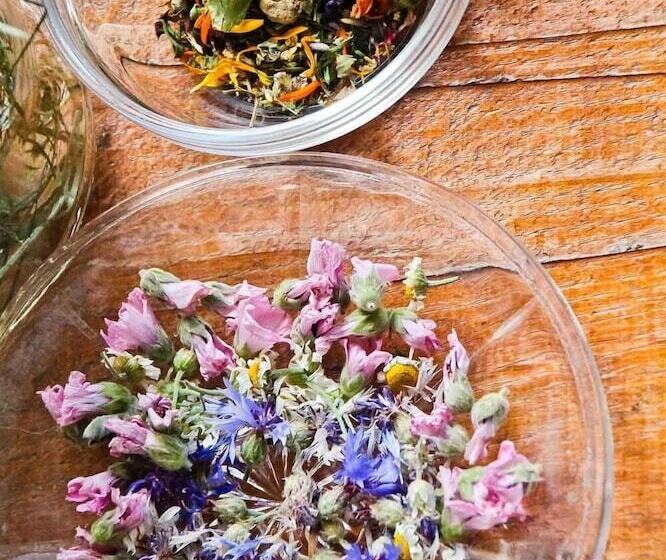 پانسیون Tourist Farm Tominc