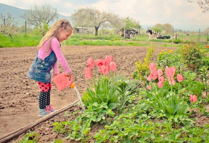 پانسیون Tourist Farm Tominc