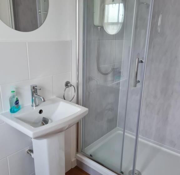 פנסיון Ty Helyg Guest House