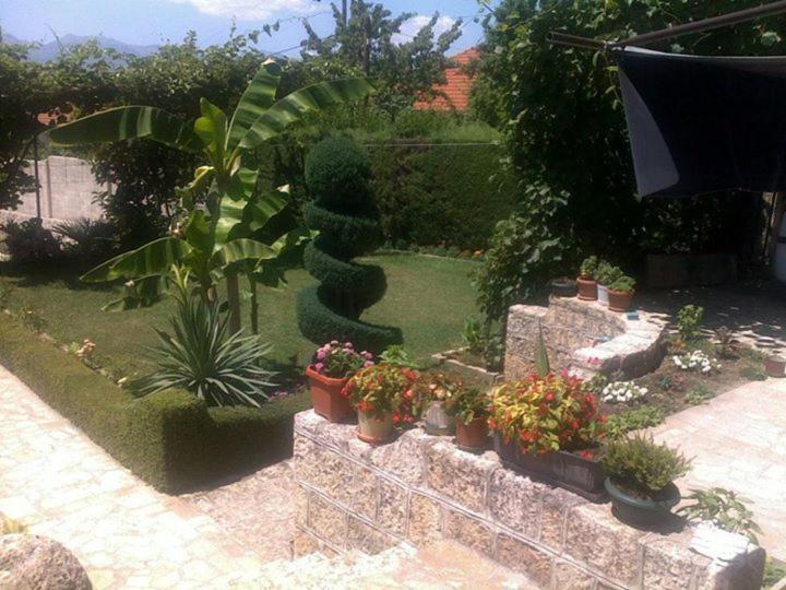 پانسیون Vila Siva