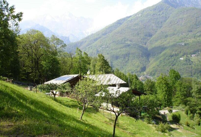 Residence Joy Center