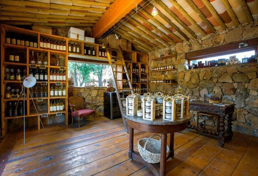 Общежитие Domaine Pozzo Di Mastri