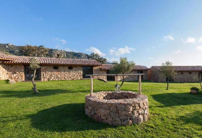 Общежитие Domaine Pozzo Di Mastri