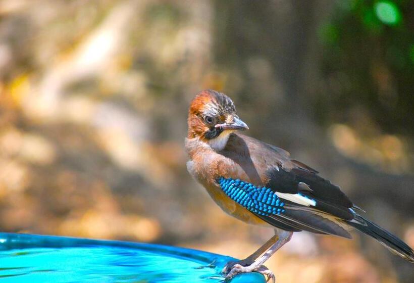 Общежитие Domaine Pozzo Di Mastri