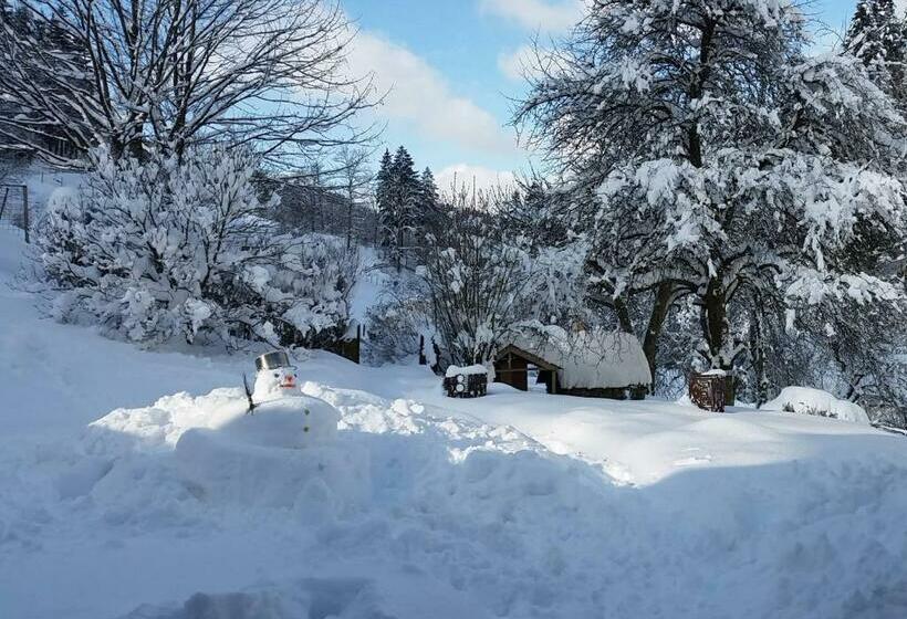 Общежитие Zuwälder Stüble