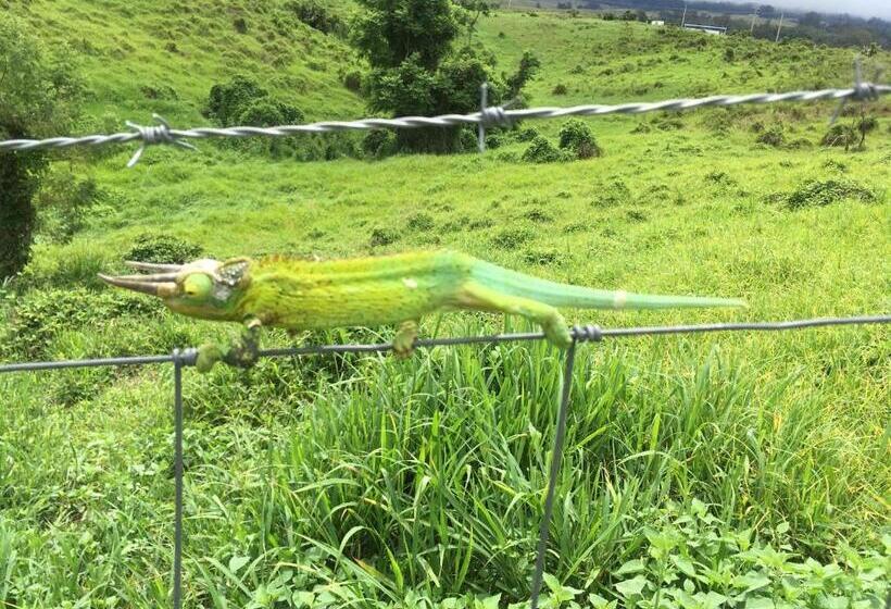 مبيت وإفطار Ha'le Kiana