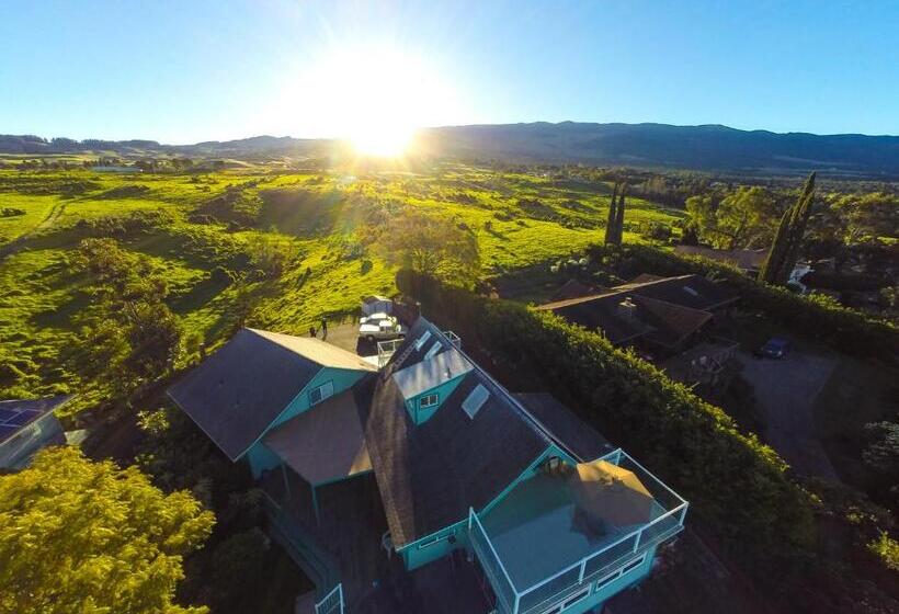 مبيت وإفطار Ha'le Kiana