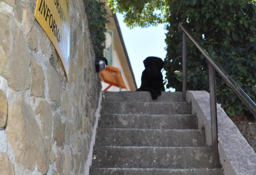 酒店 Agriturismo Il Cerrosughero