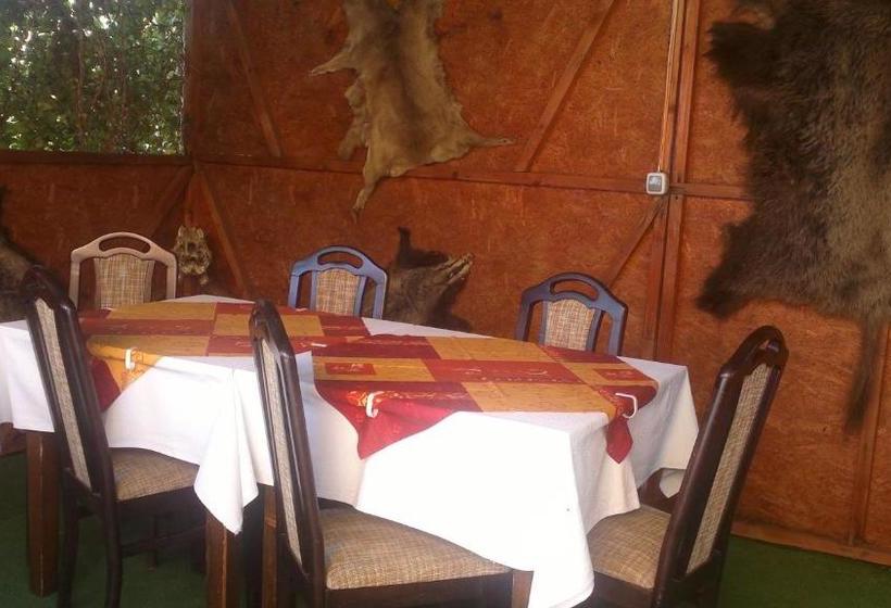 ホテル Pensiunea Cristiana   Murighiol