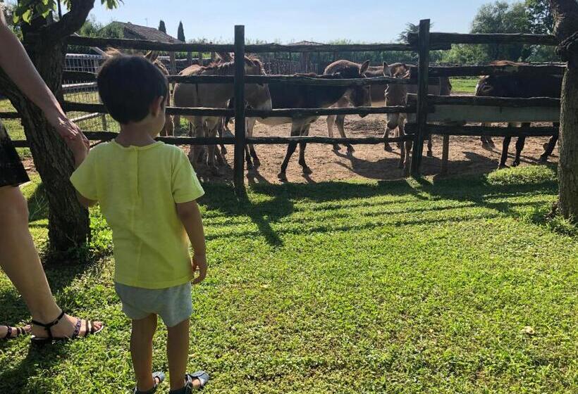 هتل Pian De' Somari