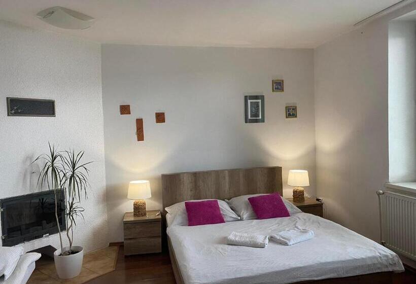 ペンション Apartment Albi