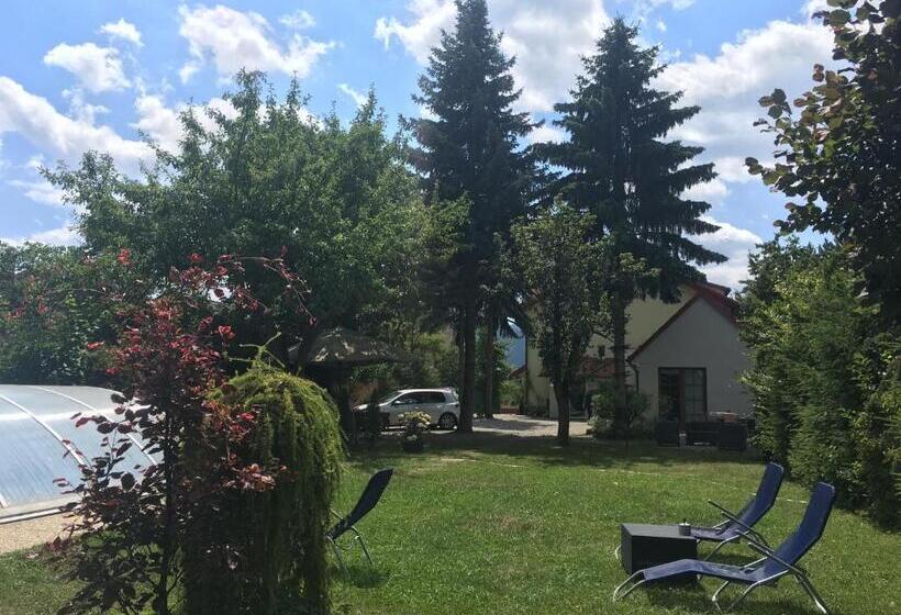 ペンション Apartment Albi