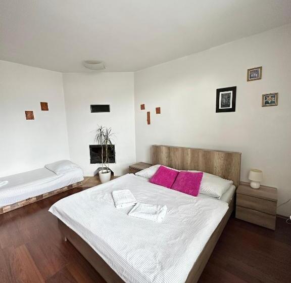 ペンション Apartment Albi