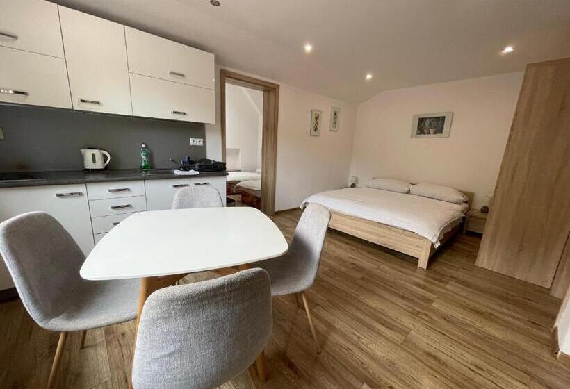 ペンション Apartment Albi