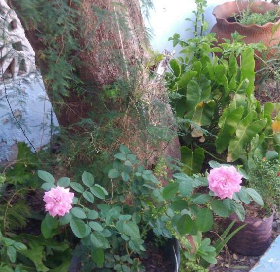 Пансион Blue Day