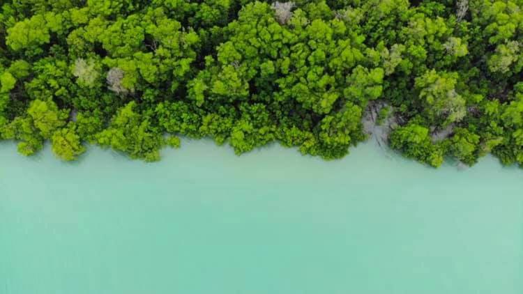 膳宿费 Pousada Lagunas