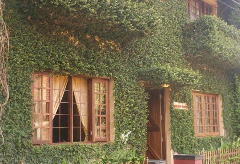 Пансион Raintree Lodge