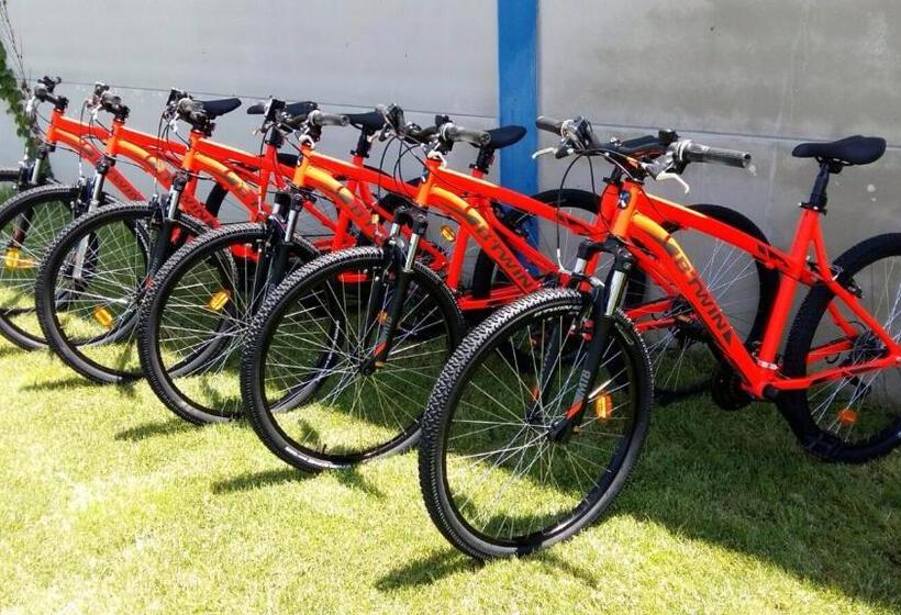 بنسيون Rural Reillo Alojamientos Rurales