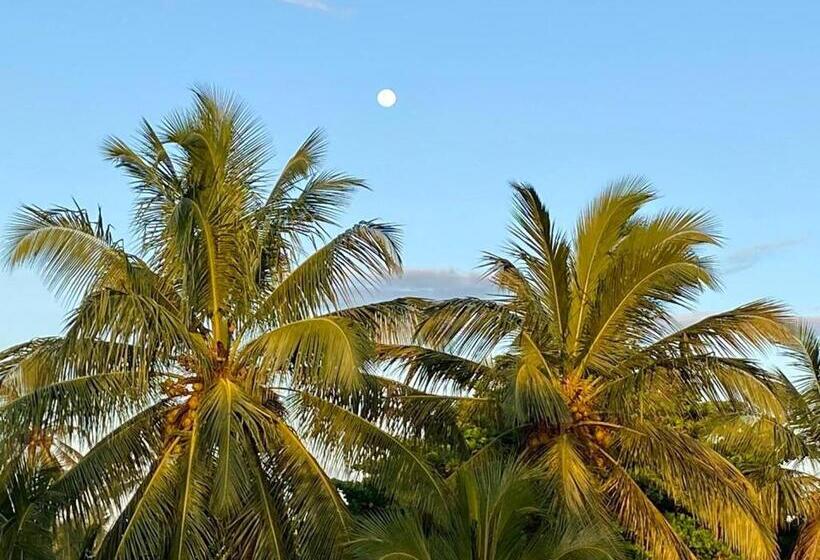 פנסיון Sasagara Beach Villa