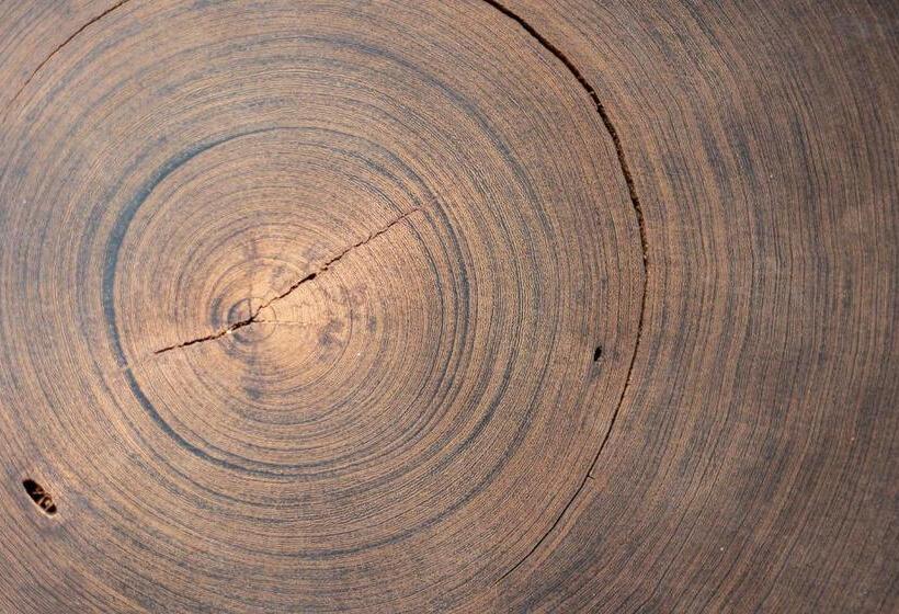 펜션 Yebo Boutique Guesthouse