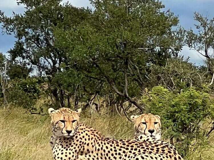 펜션 Yebo Boutique Guesthouse