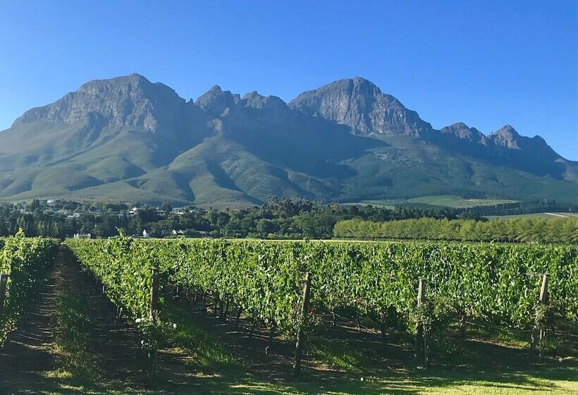 펜션 Yebo Boutique Guesthouse