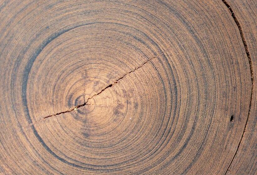 펜션 Yebo Boutique Guesthouse