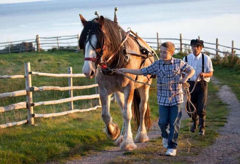 فندق صغير The Iona Heights Inn