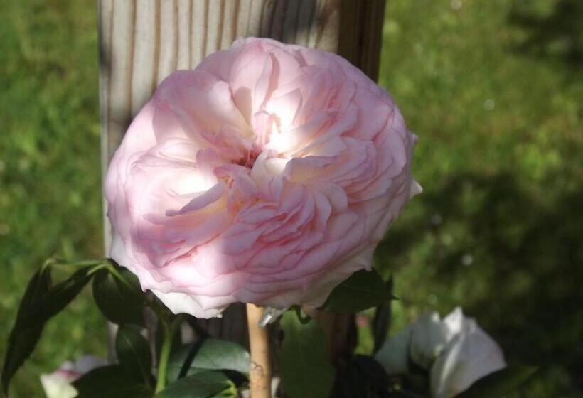 Appart Hotel Maison Saint Michel