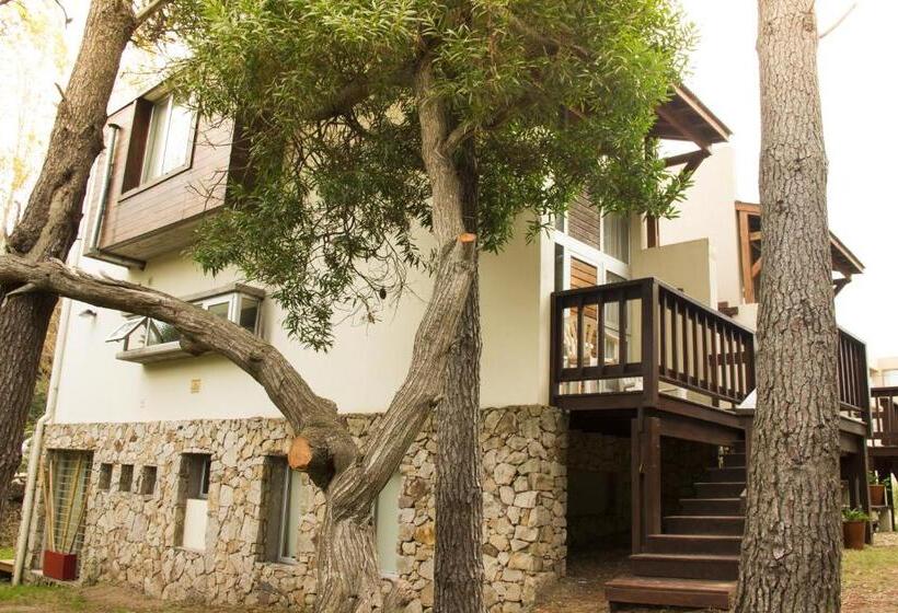 Cabañas Sottobosco