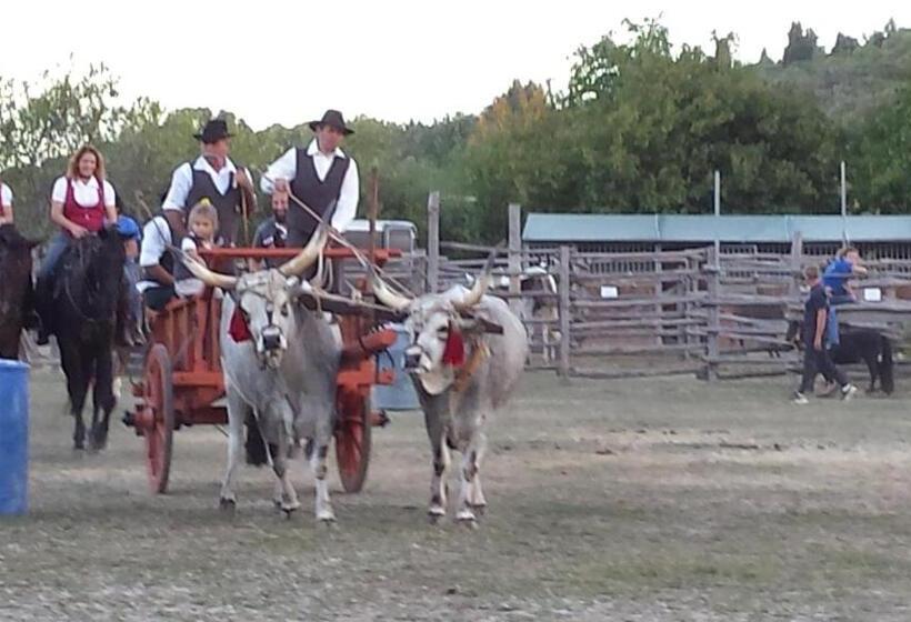 هتل Agriturismo Podere La Cascata