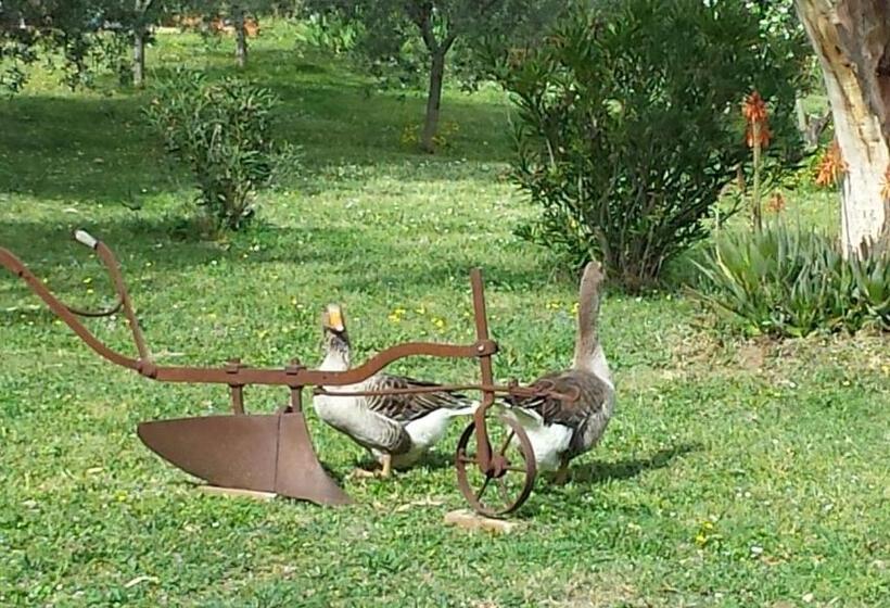 هتل Agriturismo Podere La Cascata