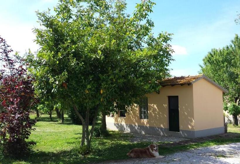 هتل Agriturismo Podere La Cascata