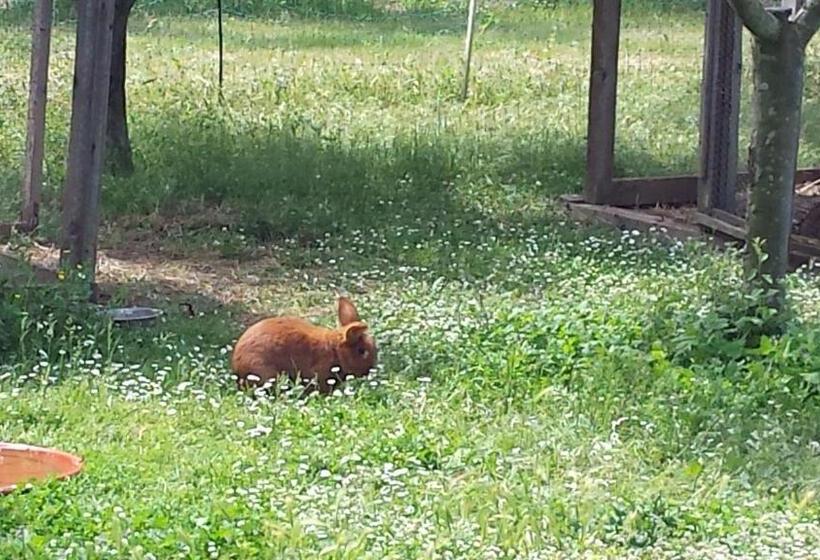 هتل Agriturismo Podere La Cascata