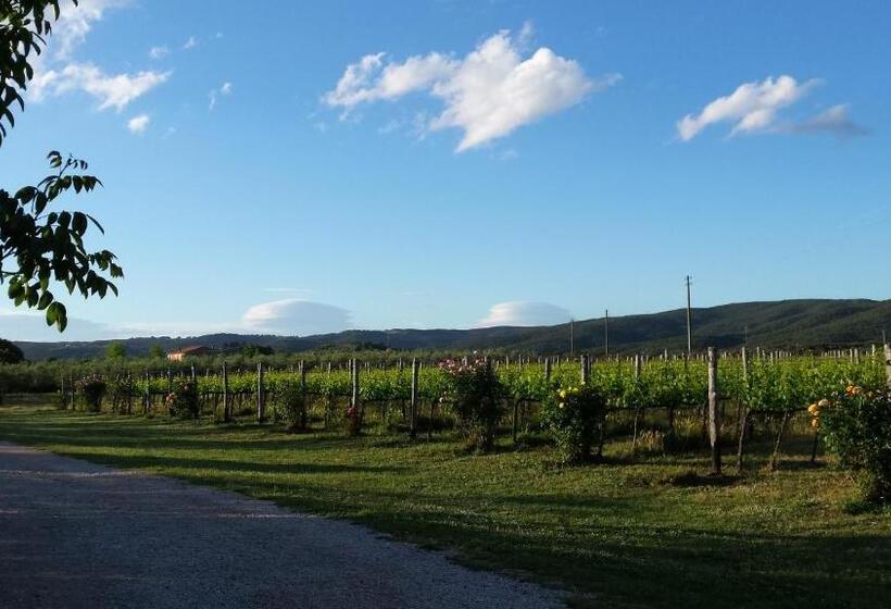 هتل Agriturismo Podere La Cascata