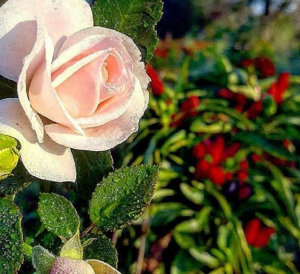 فندق Bio Casale Marchesi