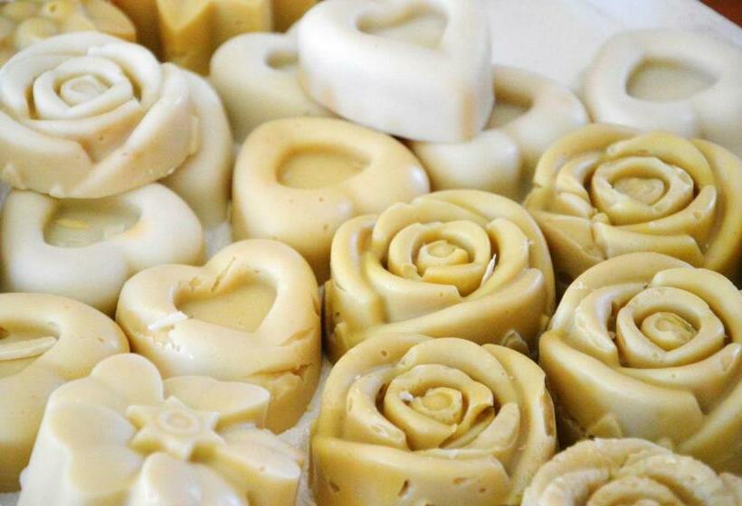 فندق Bio Casale Marchesi