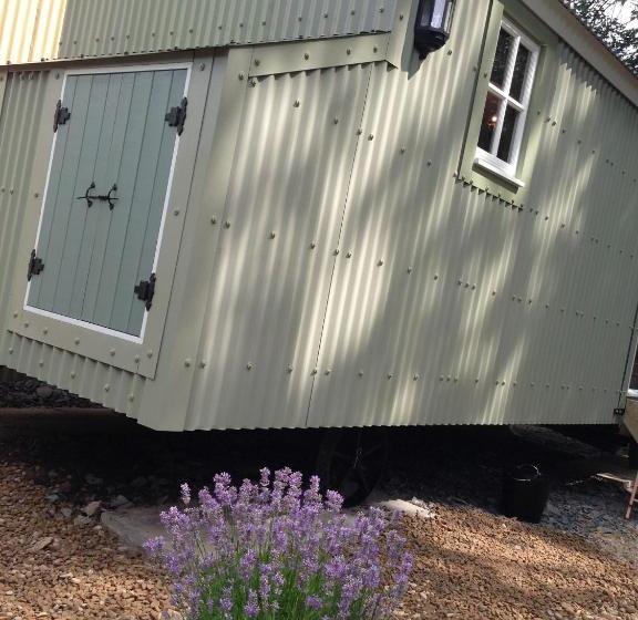 酒店 Posh Huts Farmstay