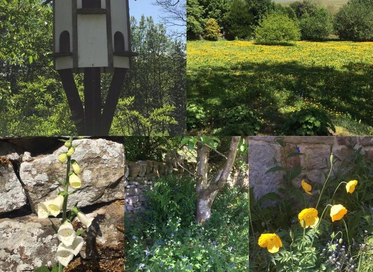 酒店 Posh Huts Farmstay